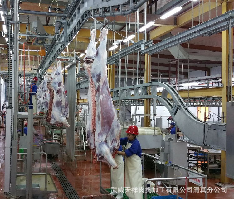 武威天祥屠宰车间3