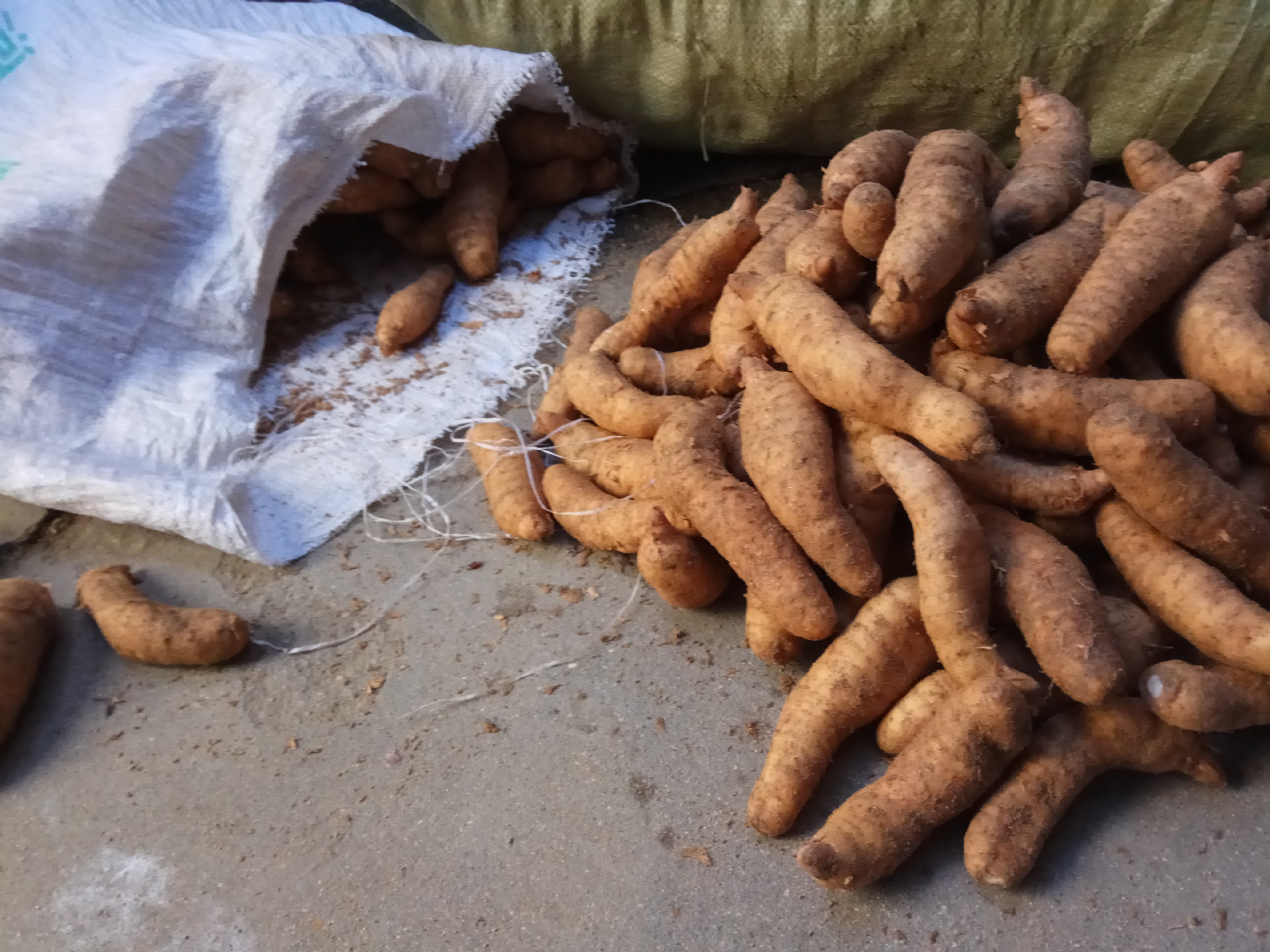 岳西大别山野生干天麻批发 优质红冬麻子可切片500克