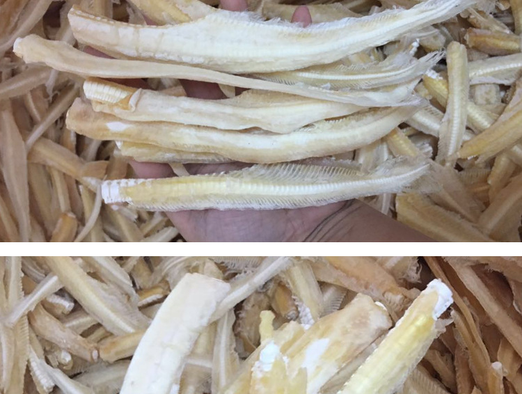 鲨鱼骨海味 海鲜健康养生食材一斤包邮 鲨鱼骨一件1斤