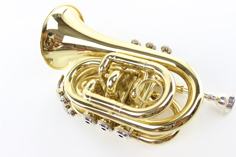 初学西洋吹奏乐器 降b号袖珍金色手掌号乐器厂家批发袖珍号