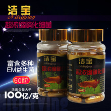 洁宝超浓缩硝化细菌复合EM菌益生菌干粉水族硝化菌胶囊60粒