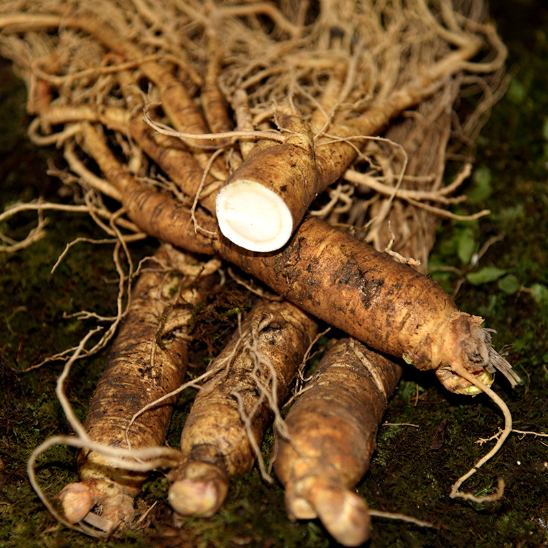 2017长白山新鲜白参煲汤 泡酒 炖鸡 火锅 满130元全国包邮(除特殊地区