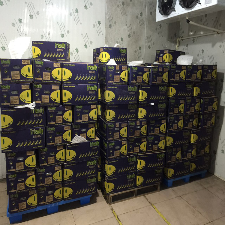 颖博进出口 厄瓜多尔香蕉 14kg/箱