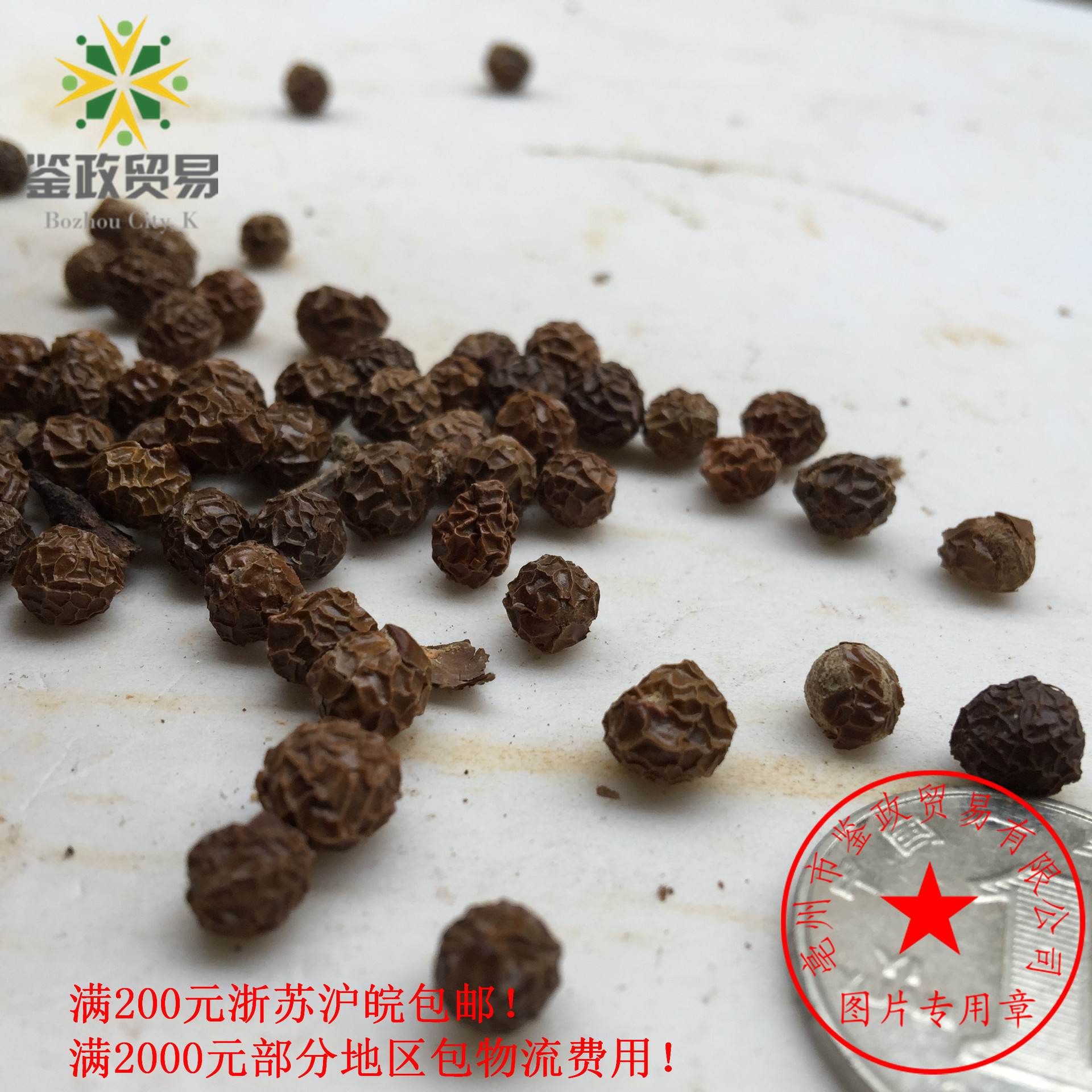 大货供应 樟树籽 香樟树籽 香樟种子 籽 油桐籽 梧桐籽 瓢儿果