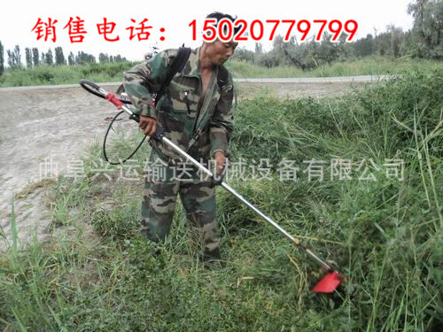 201403201395321291468_副本