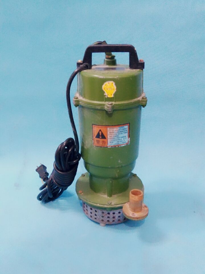 小型潜污泵 0.75kw单相潜水泵 大盛