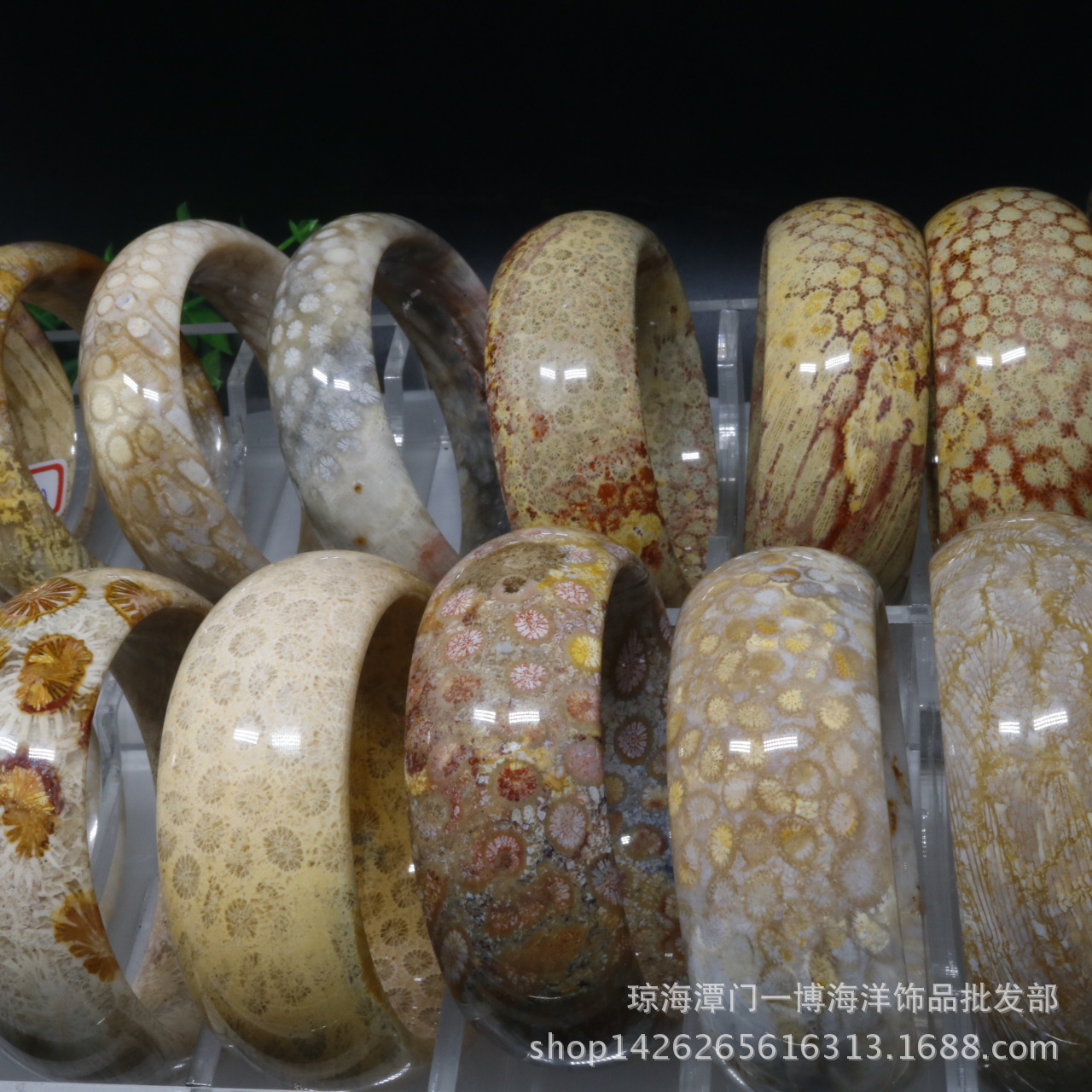 批发天然菊花石手镯高档珊瑚玉手镯多彩珊瑚虫化石内径5262mm