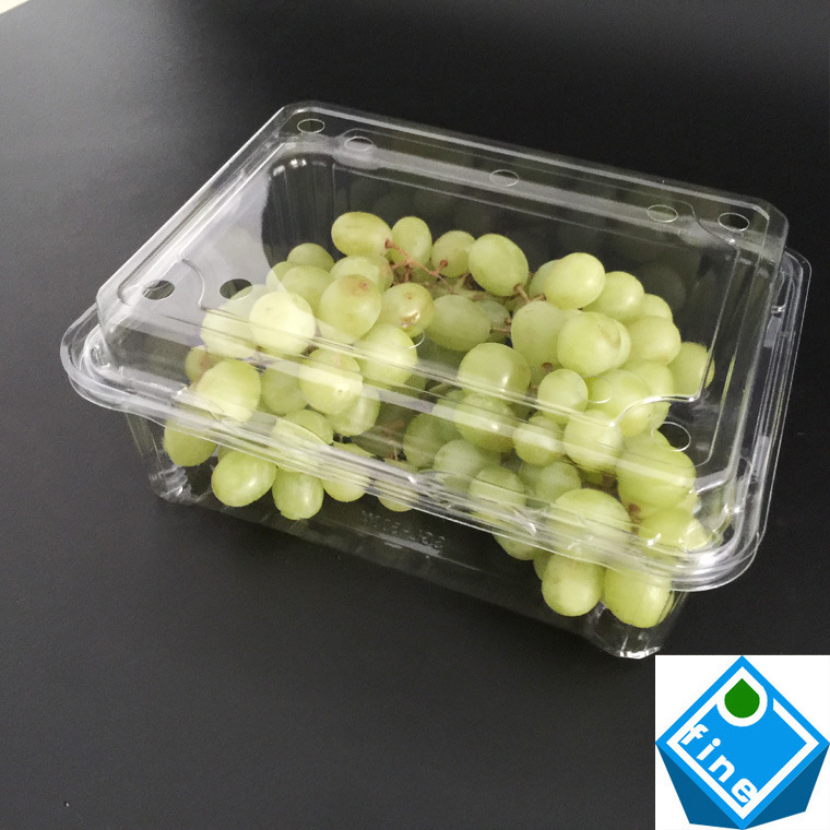 批发一次性塑料水果盒带扣带孔500克蓝莓盒草莓盒pet透明盒