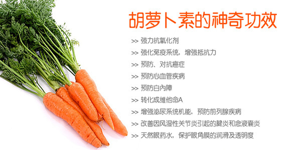 脱水蔬菜 专业生产供应优质脱水蔬菜系列 脱水胡萝卜粒 胡萝.