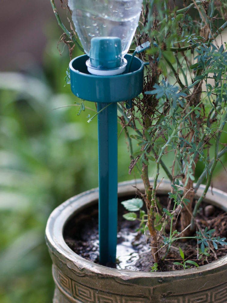 自动浇水花器家庭用可乐瓶渗滴水器懒人灌设备神器花卉盆栽调流量