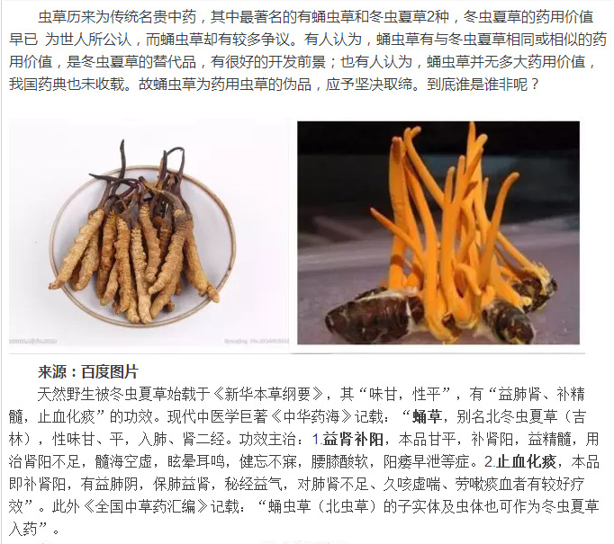 活力蛹虫草胶囊12粒虫草增强提高免疫力中老年保健品大量批发供应