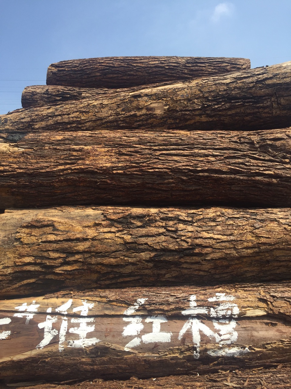 进口 原木 小叶红檀原木木板材 防腐实木 纹理清晰 高级家具木料