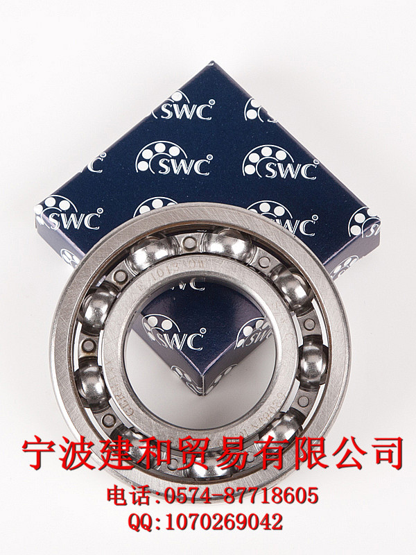 德国进口swc高温轴承 授权经销商  6006-t250 耐高温250°轴承