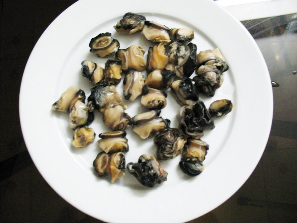 产地直销 特种水产养殖 新鲜田螺肉 原生态仿野生养殖