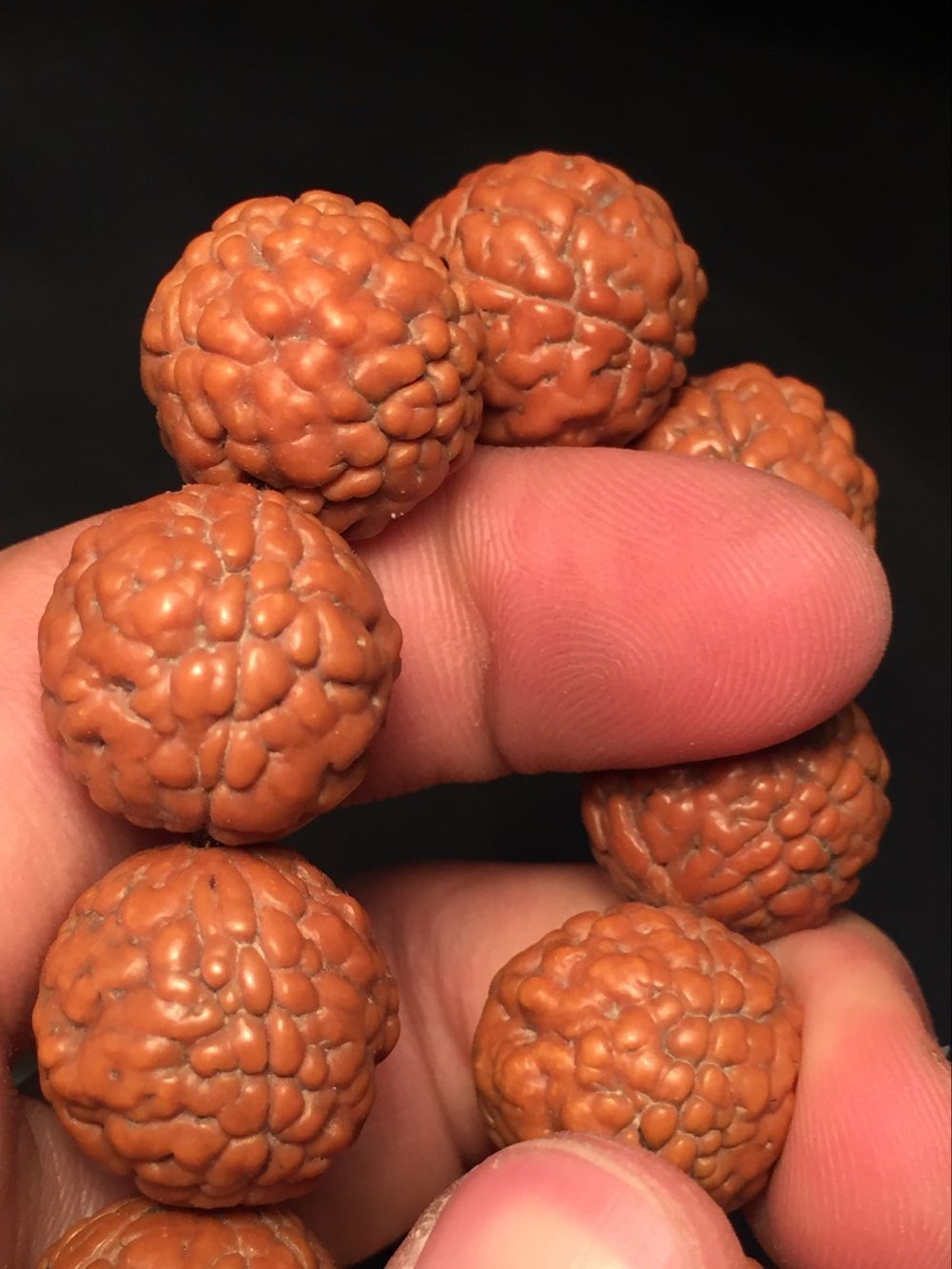 神品三瓣金刚菩提子 红皮爆肉脑纹矮桩龙鳞纹金刚 一件代发招代理