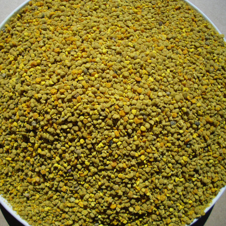 2015年新粉1000g喂蜜蜂饲料花粉 喂蜂专用 荞麦杂 喂蜂花粉包邮