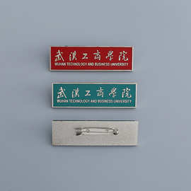 武汉工商大学 金属珐琅工艺校徽胸章制作 长方形别针徽章批发