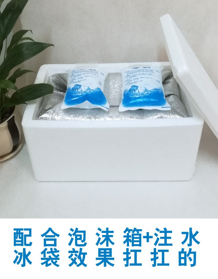 生鲜海鲜水果防冻保温袋一次性冰袋保鲜冷藏保冷袋珍珠棉外卖快递