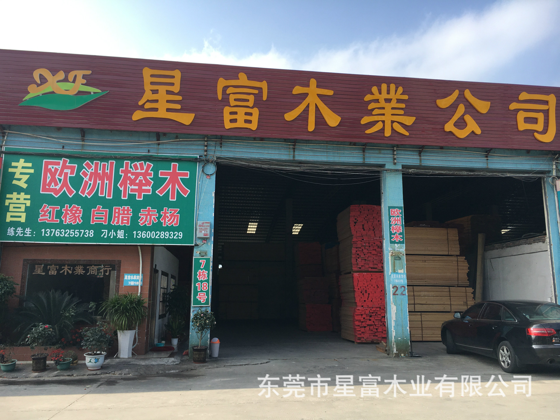 欧洲榉木 榉木板材 木板材 进口榉木 榉木板材 家具