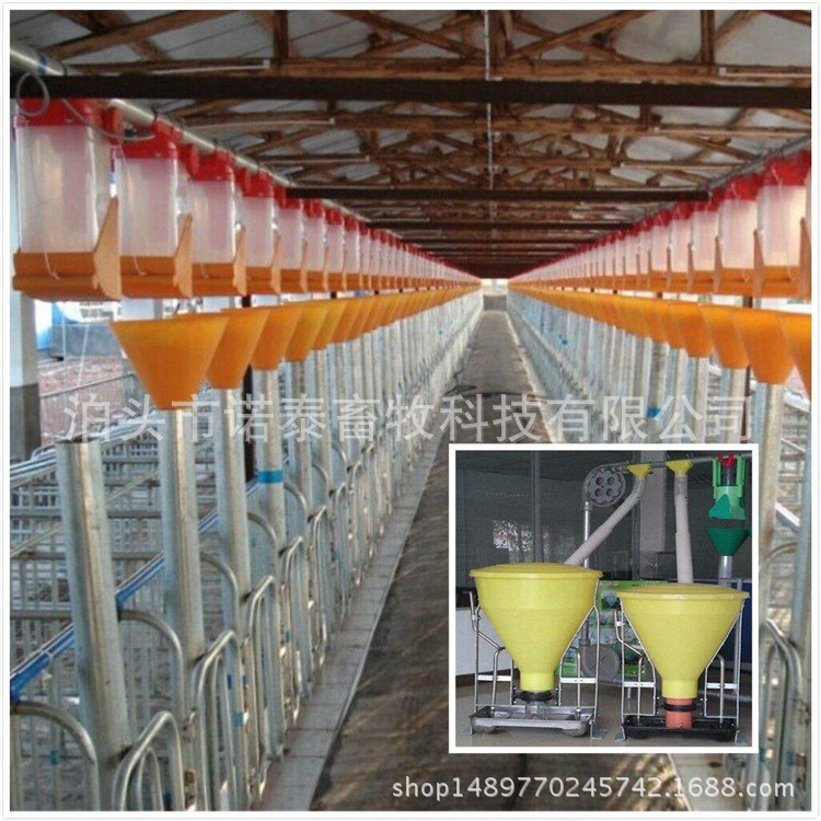 厂家直销 自动化料线 新型养猪设备 养猪场全自动喂料设备