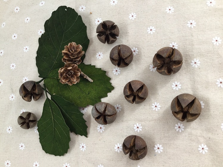 十字果开口笑开心果diy手工材料饰品 花礼盒装饰配材十字果