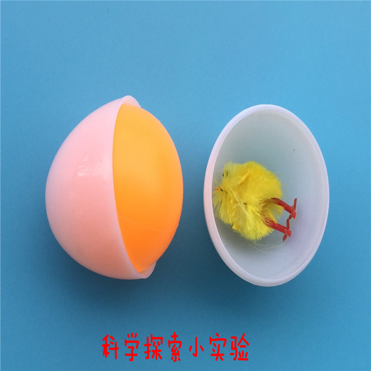 鸡蛋与小鸡 幼儿园儿童diy益智科学探索小实验科教具玩具教材
