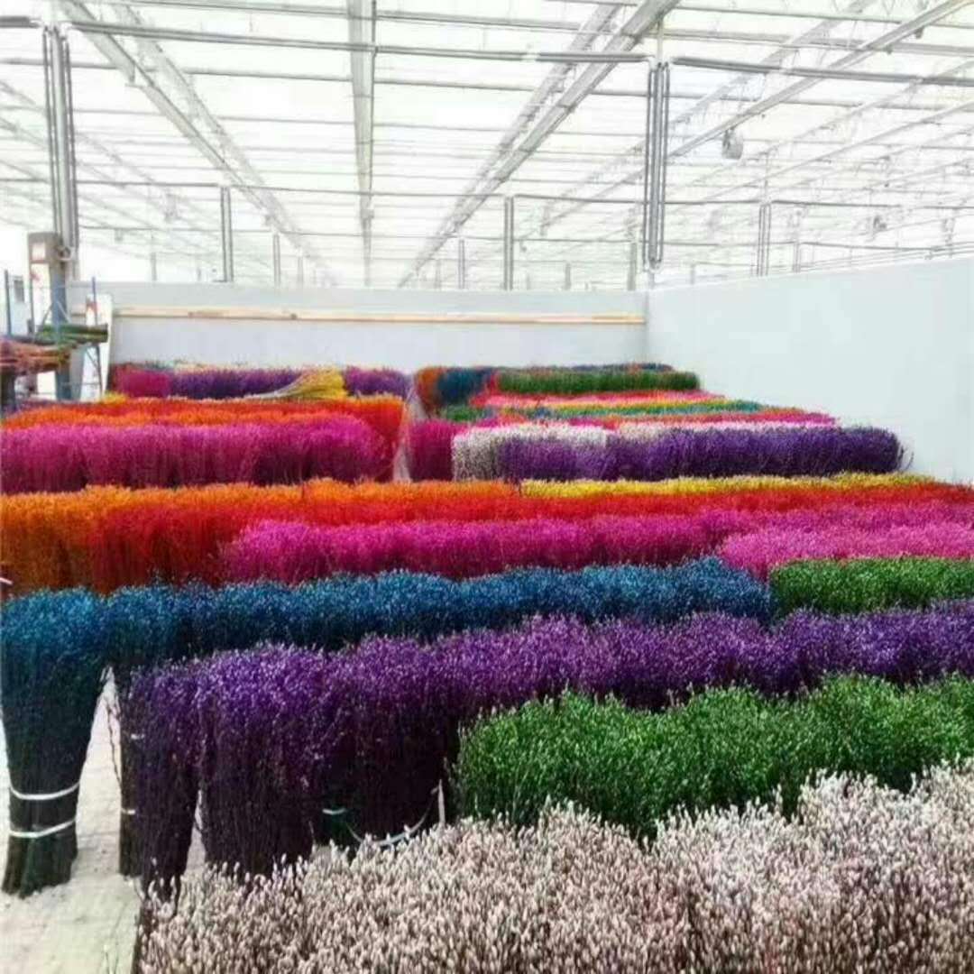 跑江湖地摊暴利产品韩国七彩柳摆设20支花送1个塑料花瓶10元模式