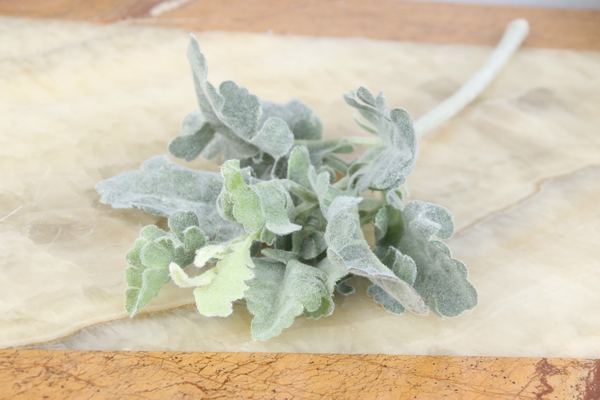 义乌假花小银翘叶仿真植物插花配件仿真花人造花客厅茶几摆件用花