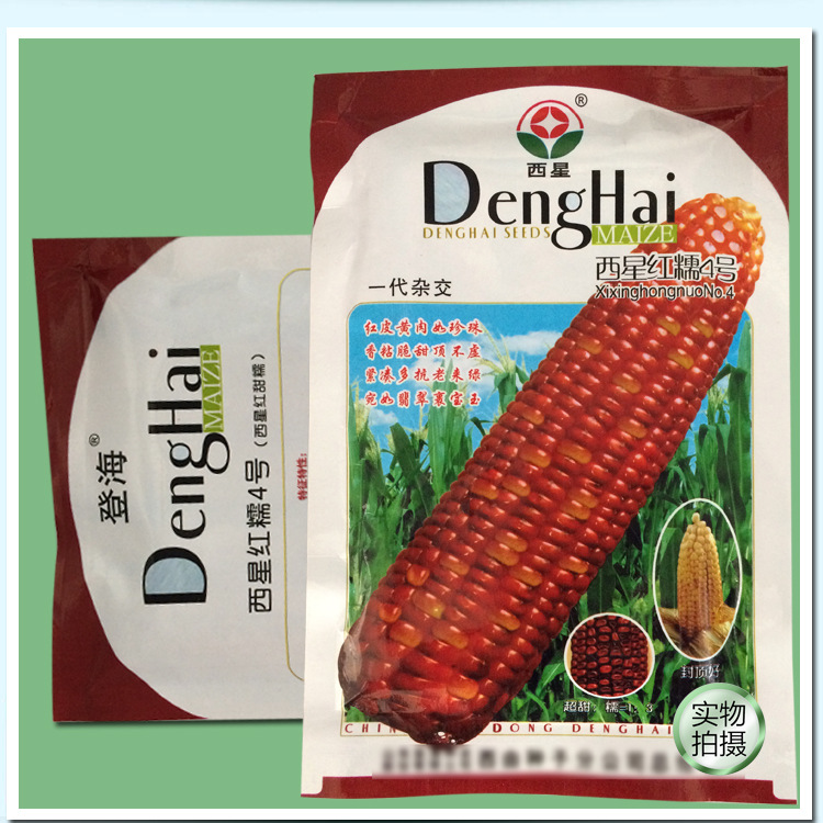 登海西星红糯4号西星红甜糯玉米种子 鲜食味香甜 100g