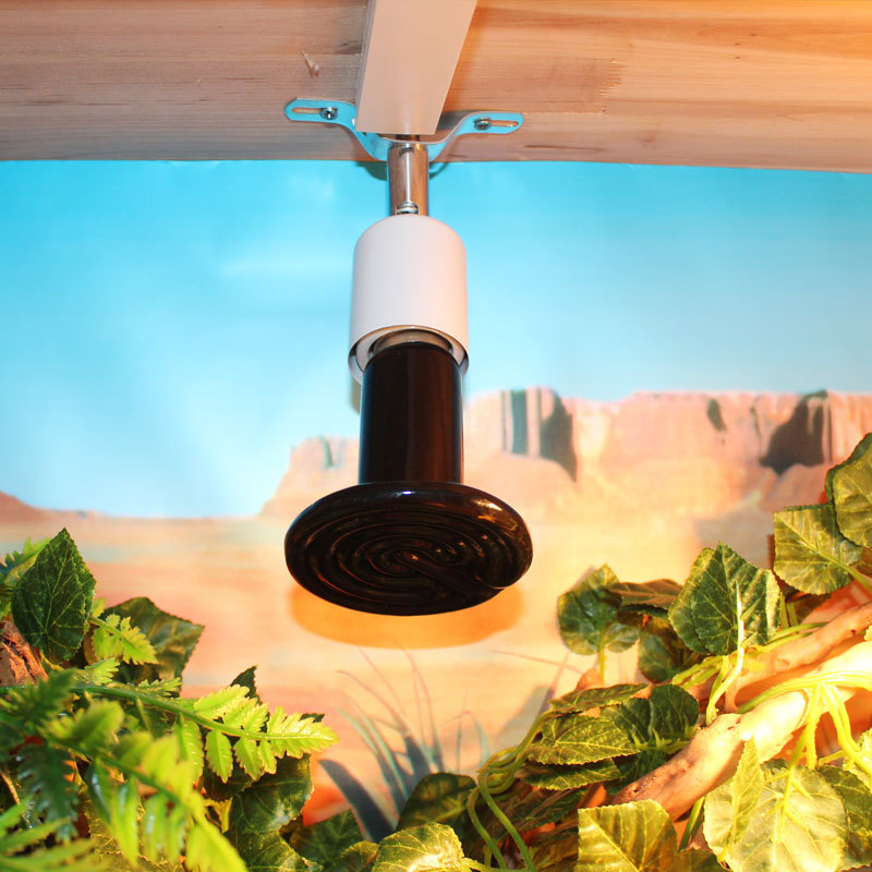 爬虫陶瓷灯陆龟乌龟加热灯蜥蜴取暖保温灯龟箱饲养箱宠物加热用品