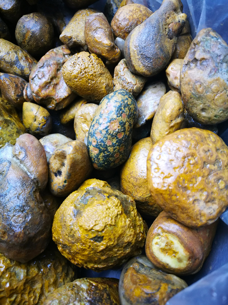 *奇石蒙天珠九眼石页岩原石鱼缸花盆造景石