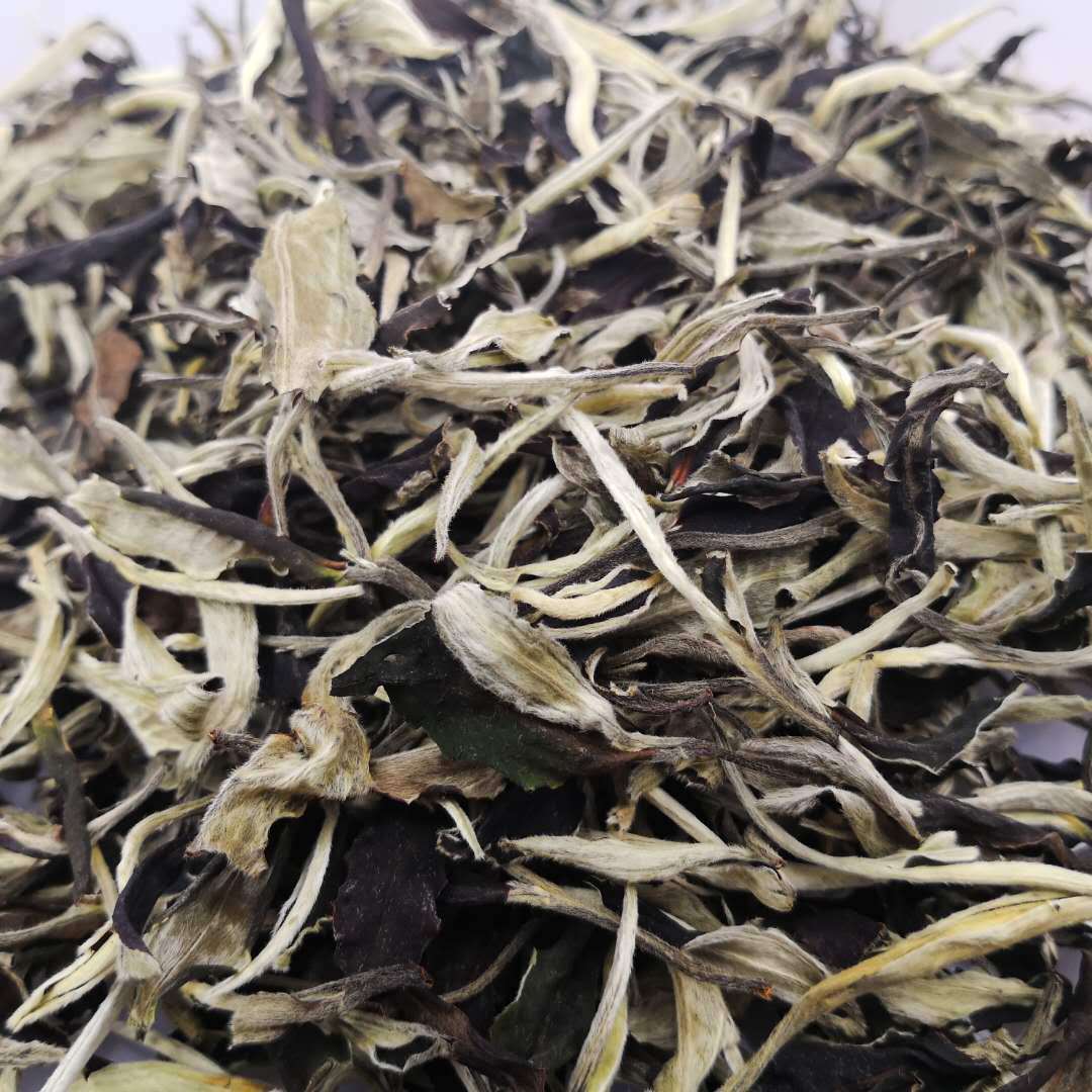 2017云南普洱茶月光美人一芽一叶月光白白茶散装新茶批发零售