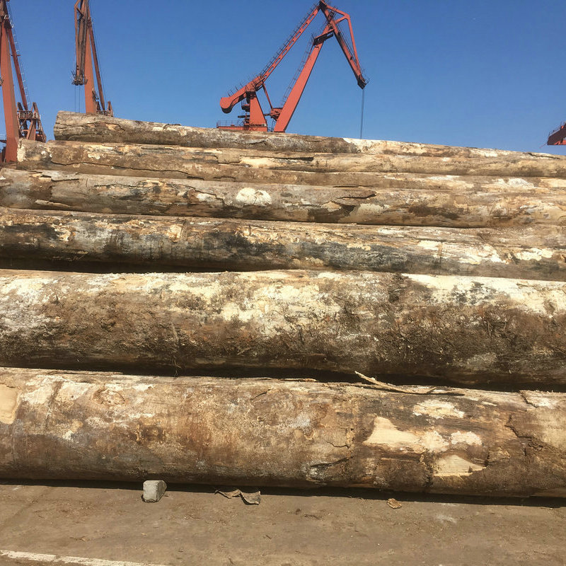 巴新进口朴木原木材 张家港进口原木木材出售批发 轻朴木加工定制