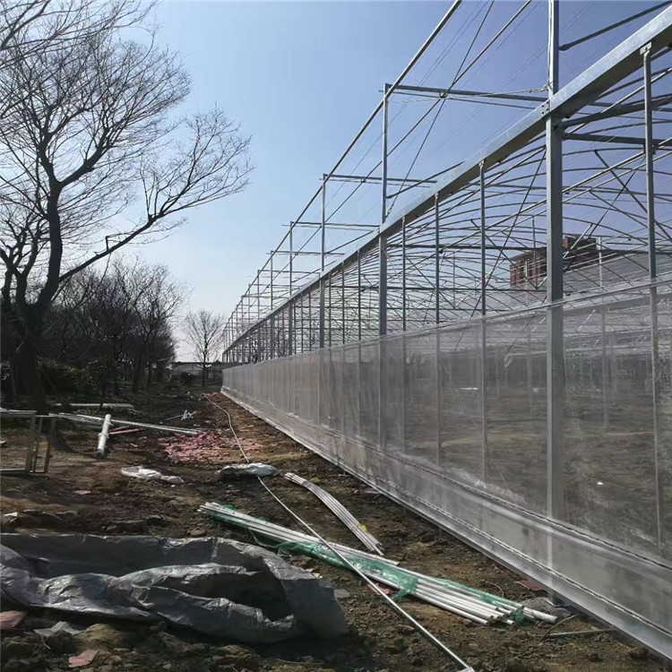 养殖大棚大棚架
