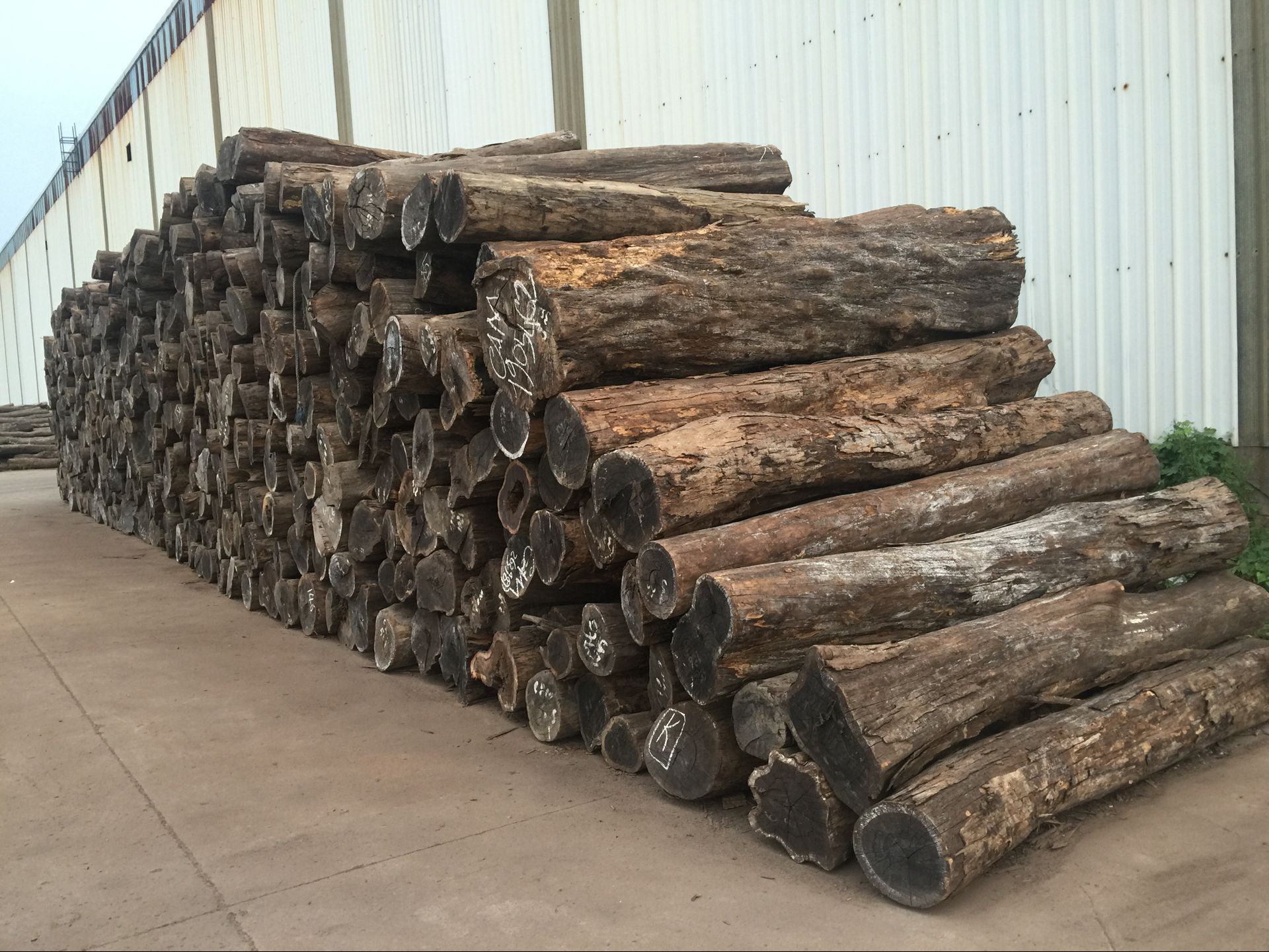 厂家直销 优质进口非洲黑酸枝原木板材 紫檀木原木批发