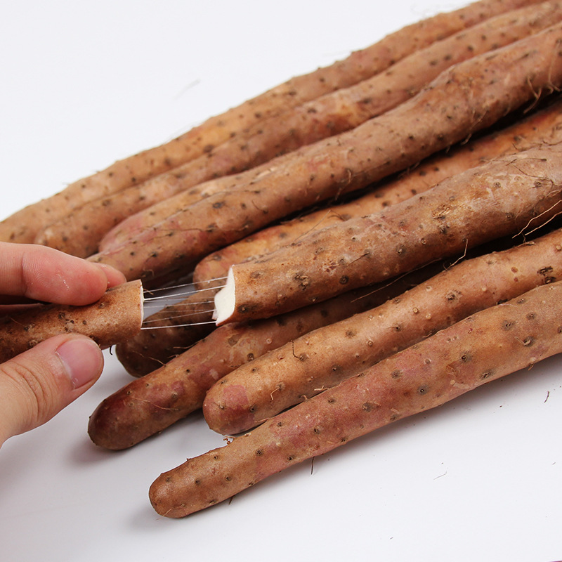 河南焦作铁棍山药产地批发怀山药非淮山药新鲜农产品垆土铁棍山药