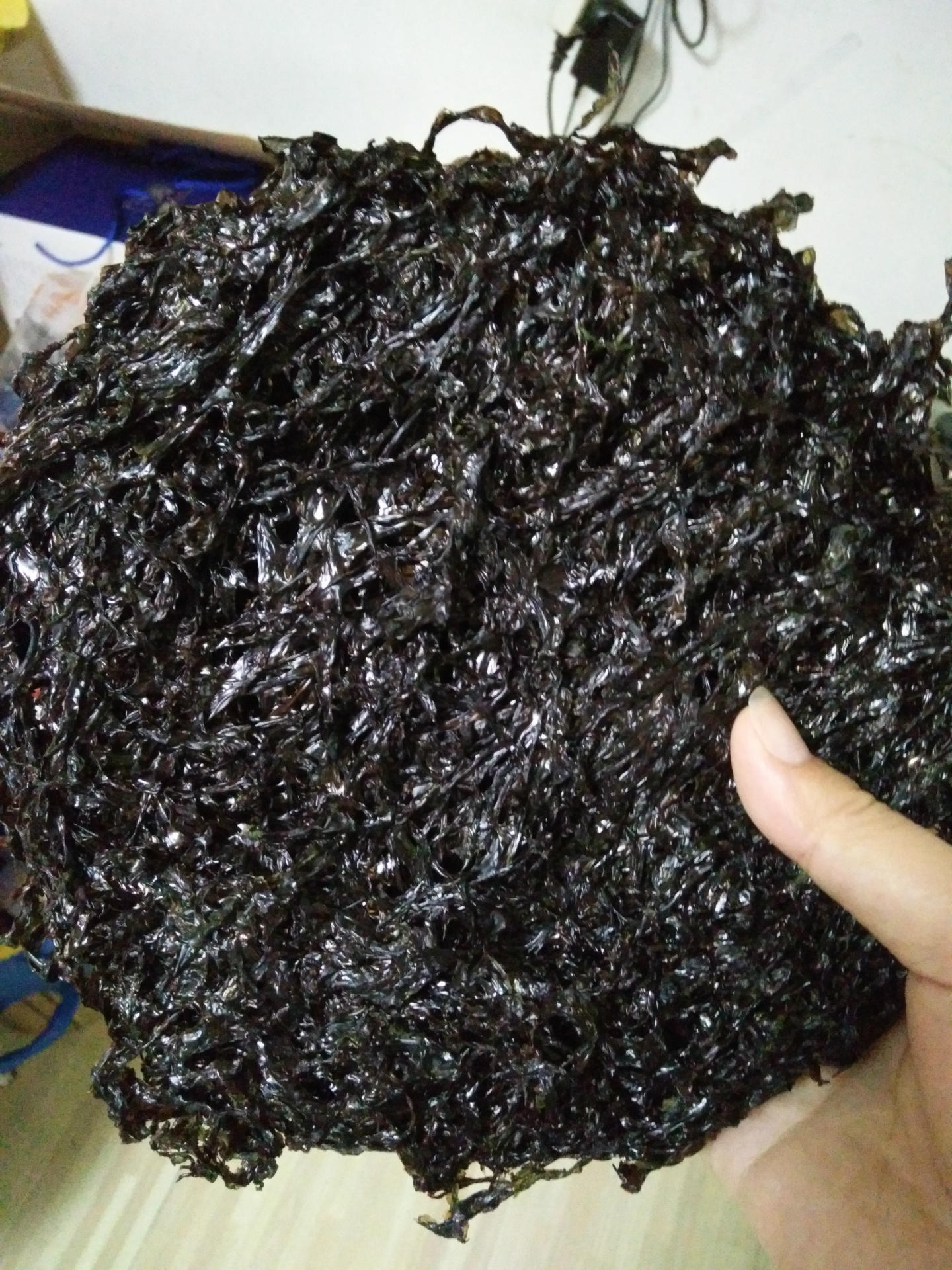 洞头县北岙志周海水养殖场 品种:紫菜