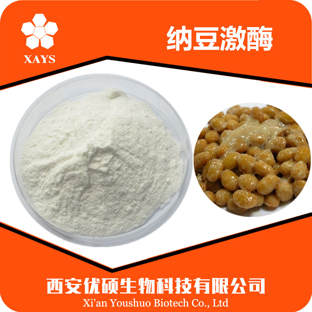 纳豆激酶20000fu/g 纳豆提取物 纳豆发酵萃取 纳豆激酶粉100g/袋