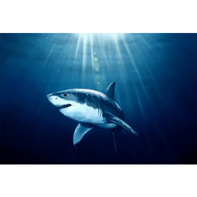 钻石画diy 海底鲨鱼 方钻满钻绣 客厅装饰 厂家图片定做量大从优