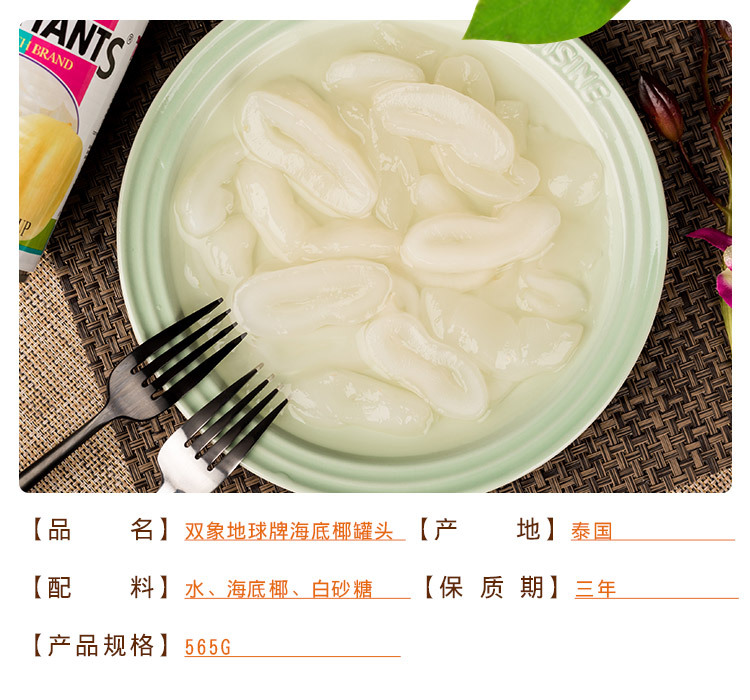 双象地球牌海底椰罐头 泰国进口糖水白玉丹甜品原料 565g*12罐/箱