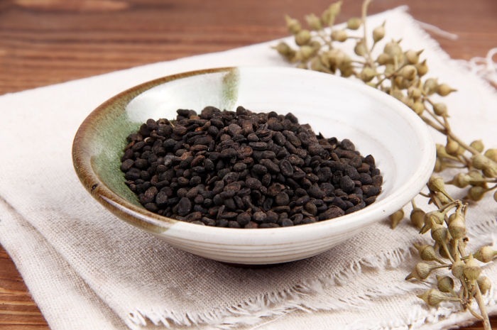 瑞盈 浓缩萃取30:1补骨脂提取物 厂家直销植物提取补骨脂原料粉末