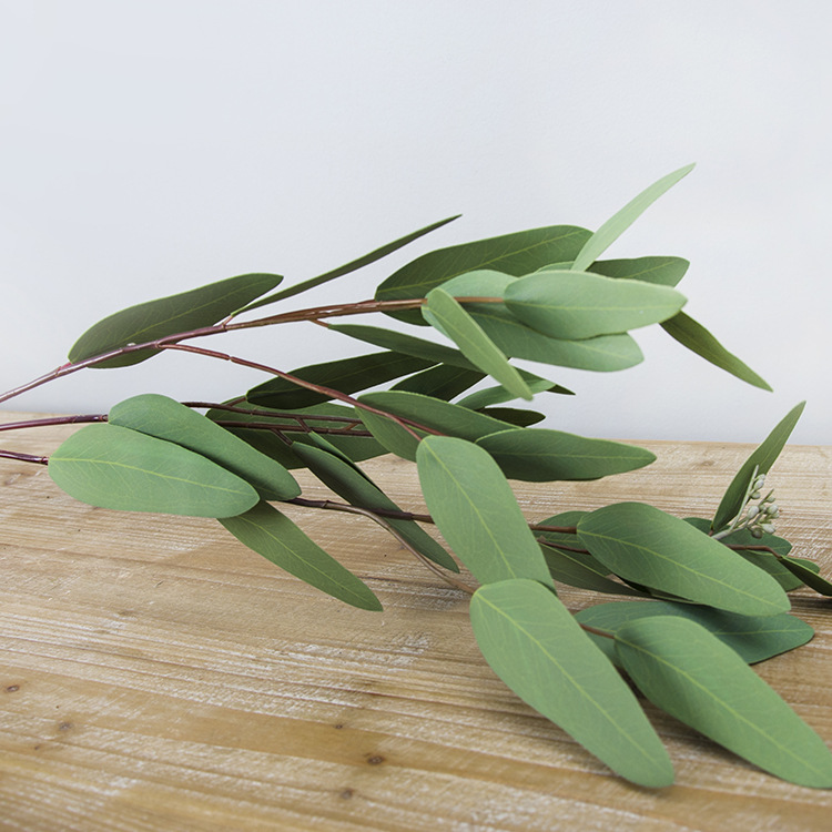 Origin Supply Guangzhou Simulation Bouquet Wholesale Long Shape Eucalyptus Leaf Home Decorative Fake Flower Eucalyptus Zamioculcas Leaves