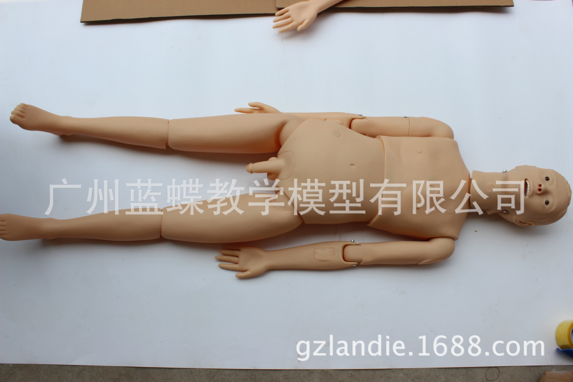 护理操作人体模型医学用教学模特假人多功能复苏橡皮模拟人男