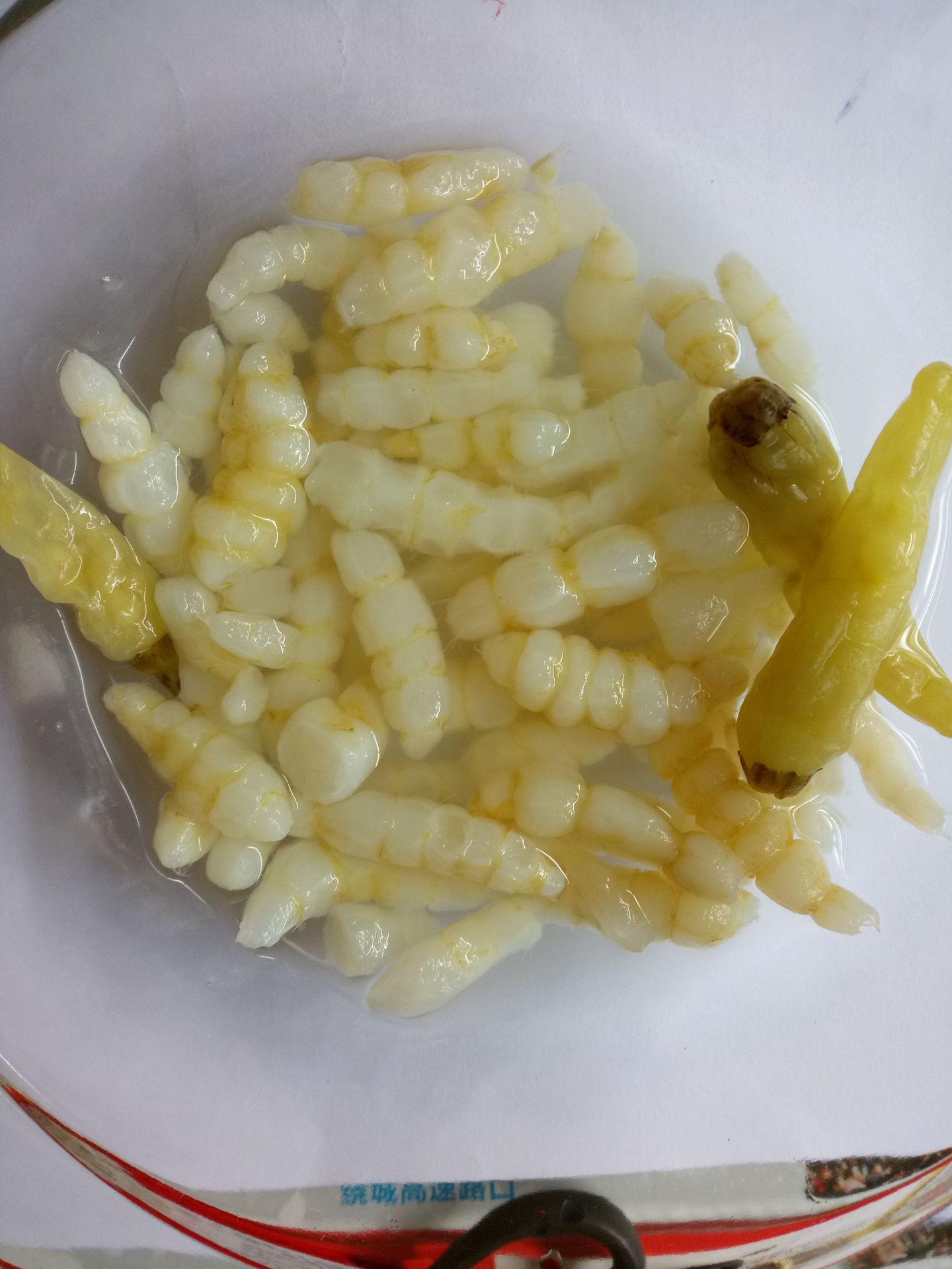 重庆特产泡椒地牯牛1千克宝塔菜地人参泡椒味下饭菜批发-阿里巴巴