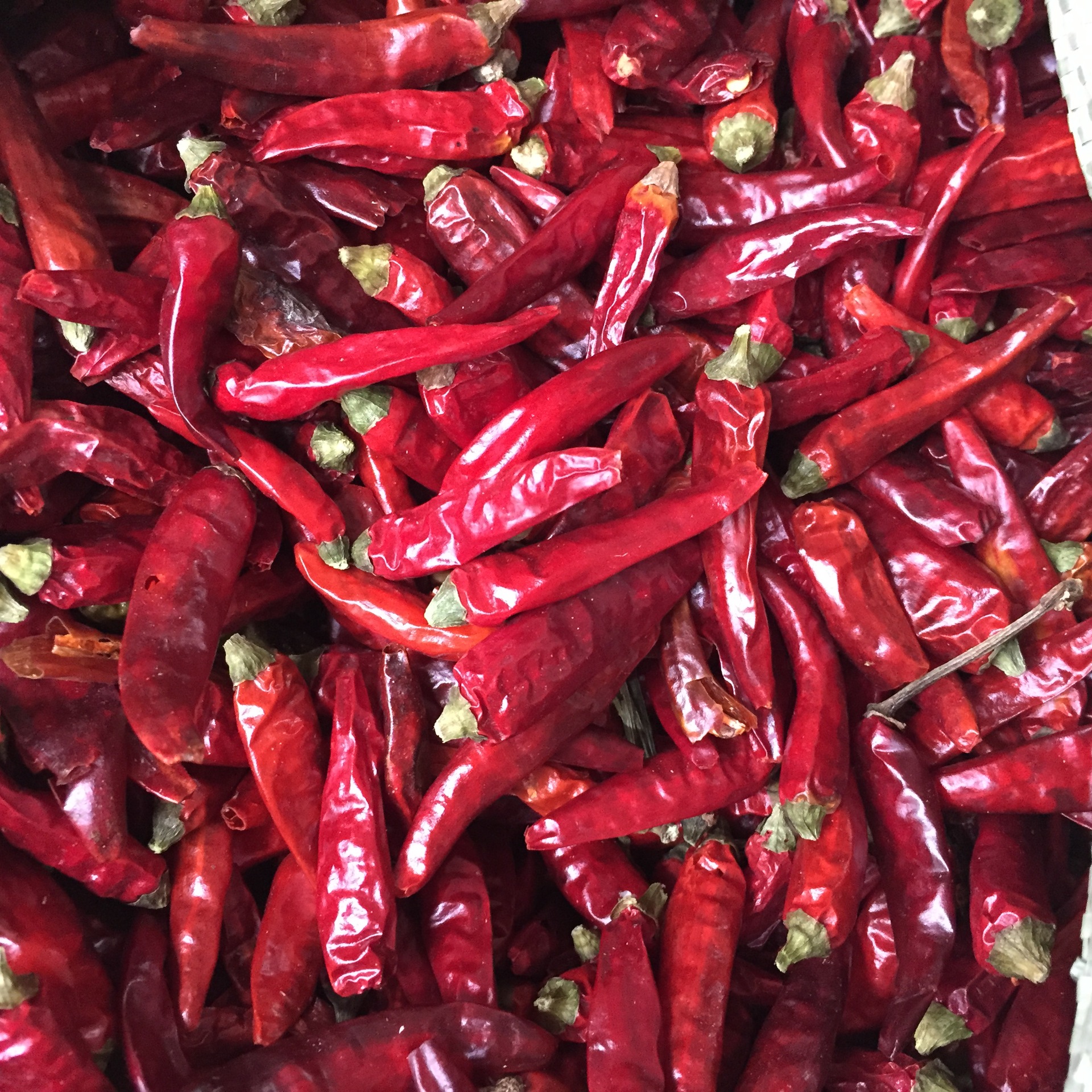 特辣超香天宇辣椒七星椒朝天椒