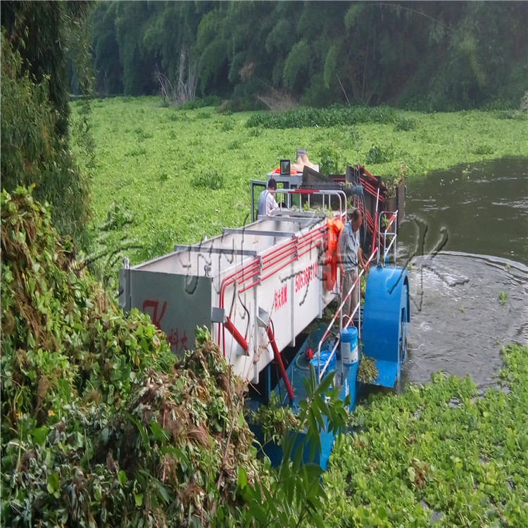 水面垃圾清理船 割草船 保洁船 四川湖面水草收割船