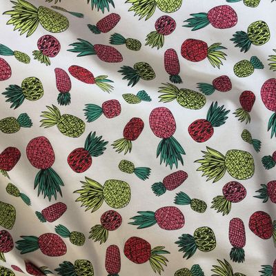 帆布印花 12安帆布 坯布现货批发水果图形 床上用品 全网热卖