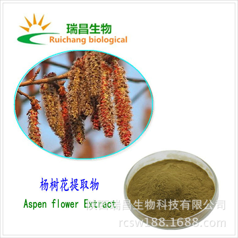 杨树花粉包邮 杨树花提取物 高品质 杨树花絮浸膏粉 植物提取物