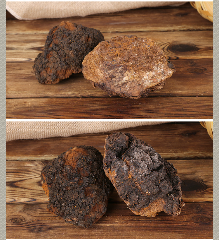 三江源东北特产长白山桦树茸 桦褐孔菌桦树茸油子干货散装批发