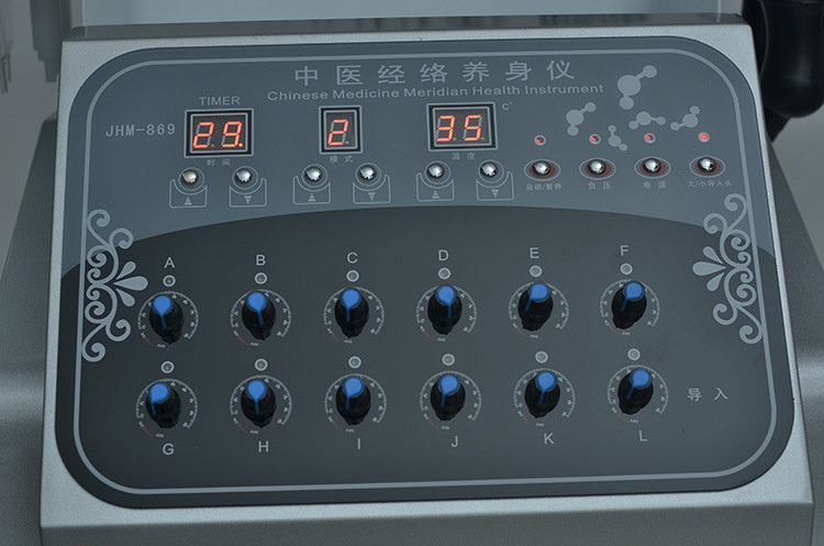 厂家批发dds中医经络养生仪 经络疏通 淋巴排毒 体控按摩仪 正品